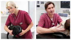 Ingrid Ljungvall og Jens Häggström har sammen bidraget til forbedret diagnostik og behandling, øget viden om arvelige hjertesygdomme og længere liv for mange kæledyr langt ud over Sveriges grænser.