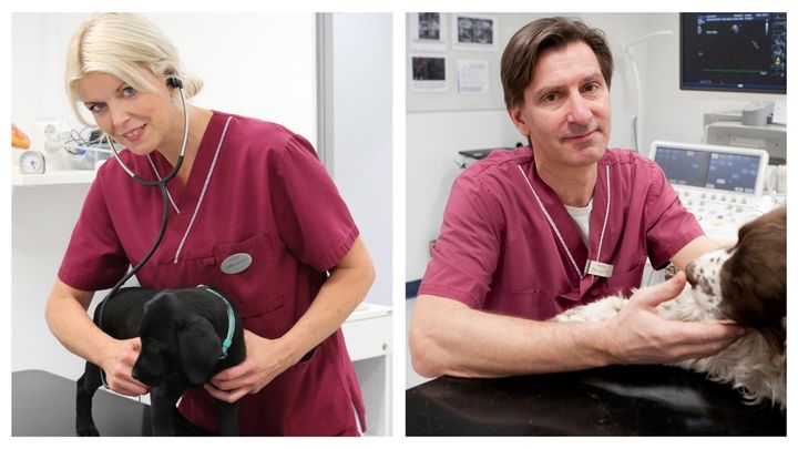 Ingrid Ljungvall og Jens Häggström har sammen bidraget til forbedret diagnostik og behandling, øget viden om arvelige hjertesygdomme og længere liv for mange kæledyr langt ud over Sveriges grænser.