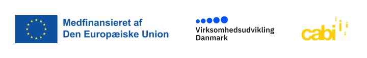 Logo%20for%20projektet%20Arbejdskraft%20nu%20og%20til%20fremtiden