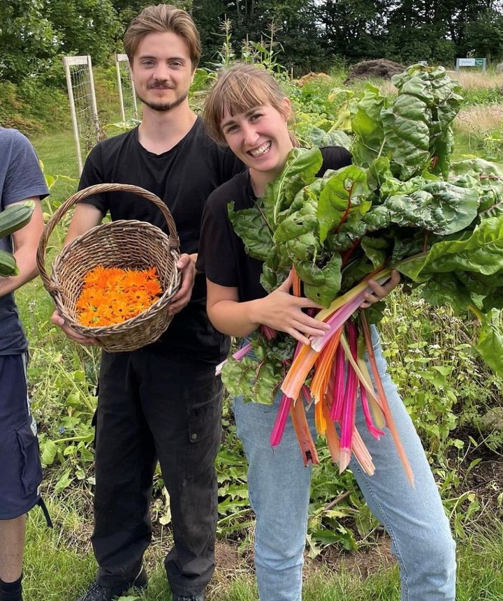 Siden 2023 har i alt 22 højskoler fået over 40 millioner kroner i støtte af Nordea-fonden til grønne projekter. Fire nye projekter går i gang inden længe.