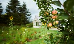 På Nordfyns Højskole skabes Fremtidens Folkehave som et grønt læringsrum, hvor natur, fællesskab og bæredygtighed mødes. Haven vil levere råvarer til skolens køkken og materialer til kreative fag som keramik og tekstil.