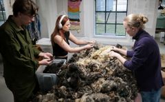 Den Skandinaviske Designhøjskole arbejder med bæredygtighed i krydsfeltet mellem design, håndværk og natur.