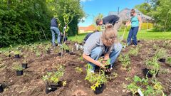 Viborg Idrætshøjskoles har fået støtte til at etablere et nyt naturhus i den tidligere forstanderbolig midt i højskolens have. Huset bliver et levende samlingspunkt, hvor elever og byens borgere kan arbejde med bæredygtighed i praksis – med hænderne i jorden, omkring bålet og i grovkøkkenet.