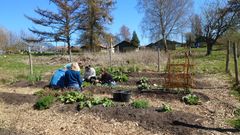 Bornholms Højskole har igangsat projektet Gro, der skal bringe elever og lokale borgere tættere på naturen og på konkrete løsninger i den grønne omstilling. Gro skal gøre skolen til et levende laboratorium for bæredygtig praksis og styrke unges handlekraft samt give dem konkrete redskaber til at deltage i bæredygtige hverdagsaktiviteter.