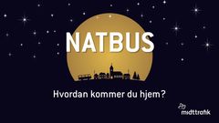 Natbusser kører kunderne sikkert hjem efter julens fester