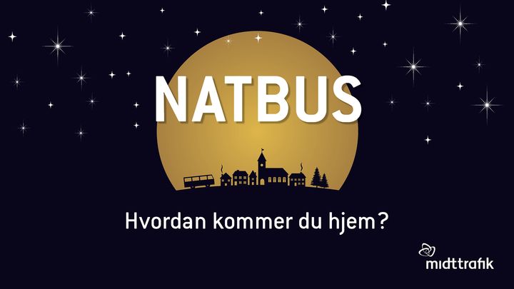 Natbusser kører kunderne sikkert hjem efter julens fester