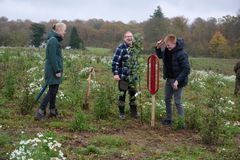 Foto af mennesker der går og planter træer på en mark i efterårsvejr