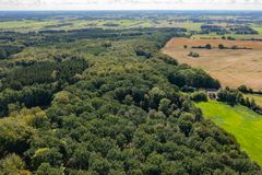 Danmark skal have meget mere skov i følge Grøn trepart. Allerede nu kan du få støtte til at rejse skov, hvis du som privat jordejer har mere end 5 hektar.