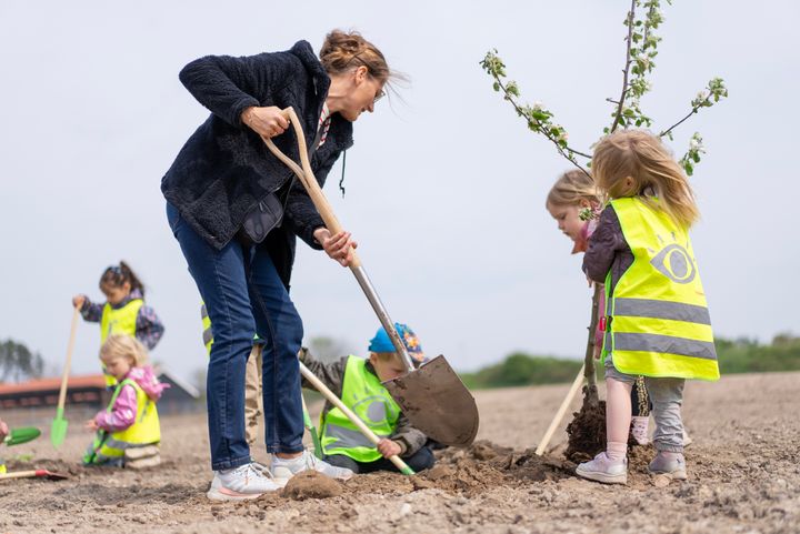 foto af børnehavebørn der planter frugttræ