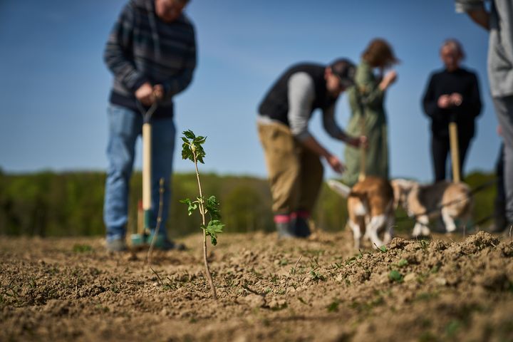 foto af mennesker der planter træer
