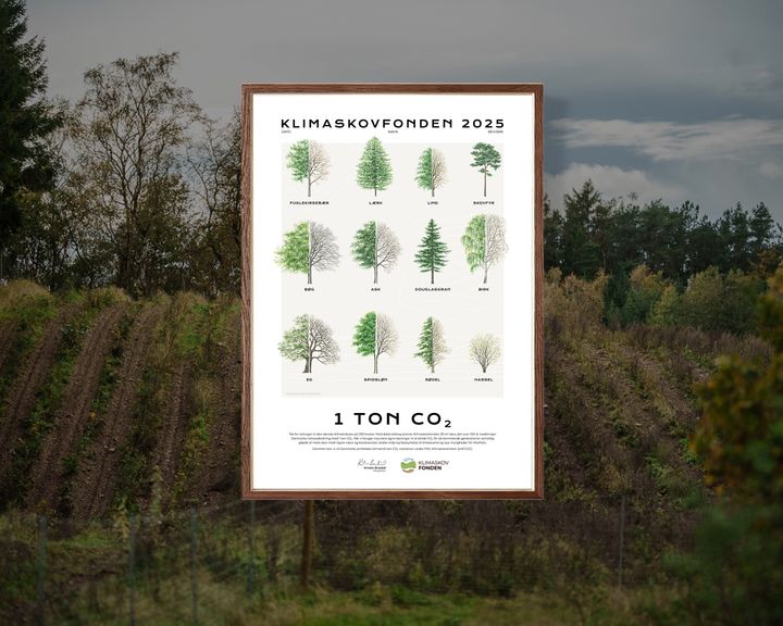 Giv en skov i mandelgave. Den heldige vinder kan endda komme med ud og plante den til foråret og få en oplevelse oven i købet.