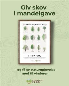 Du får beviset tilsendt så det kan pakkes ind og gives til den, der får mandlen.