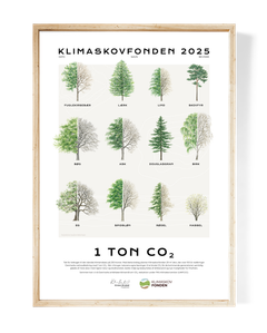 Et bevis for at der plantes skov, der optager CO2 som et led i klimaindsatsen.