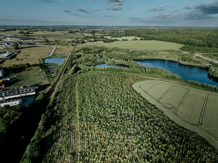 luftfoto af ny skov og marker