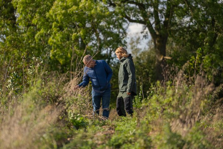 Nye skove kan plantes med tilskud fra Klimaskovfonden. Det bliver klimarobuste skove med mange forskellige træer og buske.