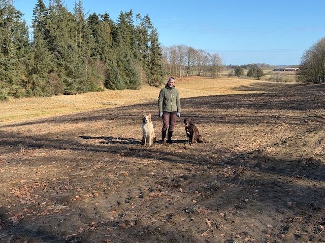 Jeg går i skoven hver dag, lyder det fra skovejeren, der nu får mere skov med tilskud fra Klimaskovfonden.