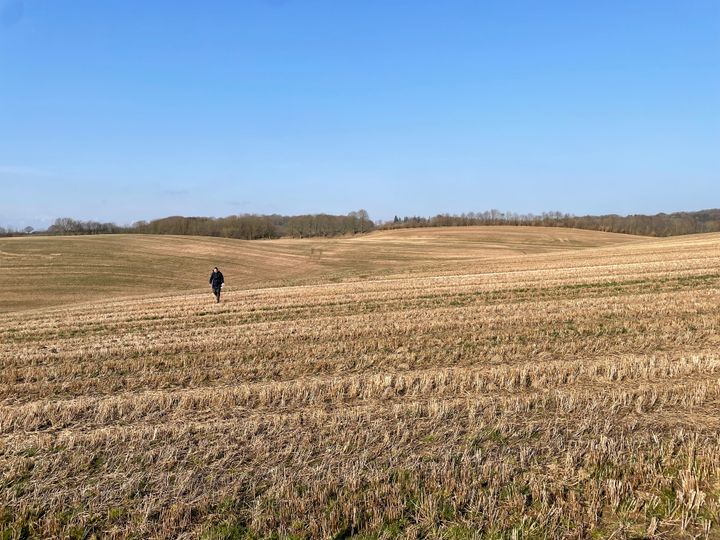 Gennem metoden assisteret naturlig tilgroning skal der etableres ny skov og lysåben natur på markerne her, der skal udvikle sig på naturens præmisser.