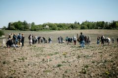 Den nye skov ved Hvalsø ligger helt tæt på byen, så det er nemt for børn og ugne at få glæde af skoven. I maj deltog borgerne i plantning af skoven, som Roskilde Festival og andre aktører i kulturbranchen har finansieret.