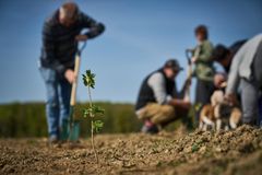 foto af mennesker der planter træer