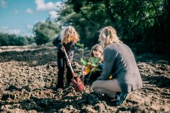 Klimahandling i børnehøjde: giv dine børn en gave, der vokser sammen med dem. Klimaskovfonden planter nye skove i Danmark og alle kan være med.