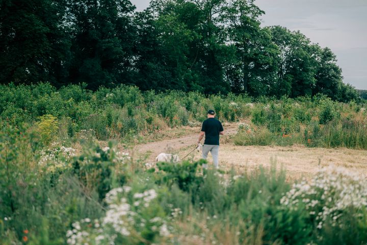 foto af Græse Kirekskov