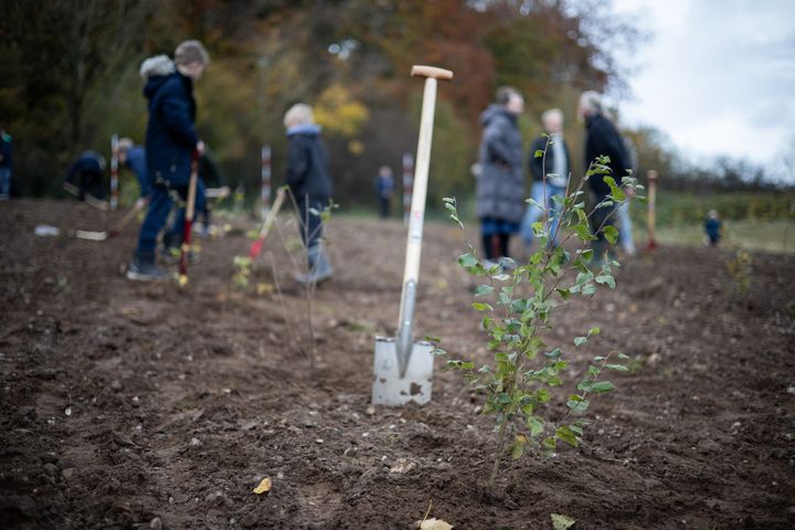 foto af mennesker der planter små træer