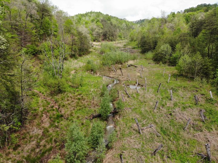 Genetablering af ødelagte vandløb i Lawrence County, Kentucky