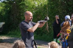 Billede af mand fra Naturplant med træ