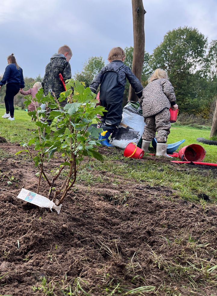 Billede af børn der planter frugtlunde