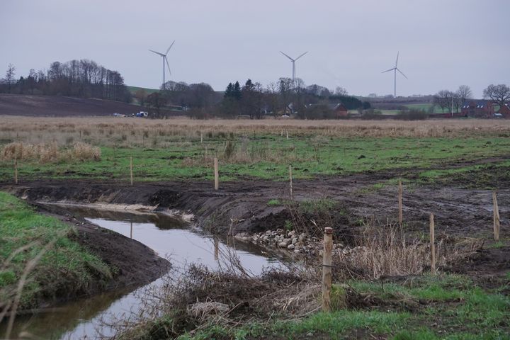 Lavbundsprojekter er et af de mulige værktøjer i omlægningsplanen, der nu er vedtaget. Her er det et billede fra Skjold å, som er blevet genslynget.