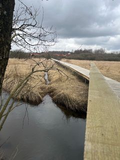 Foto af Gudenåen og boardwalks ved Tørring