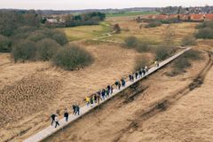 Dronebillede af Gudenåstiens nye boardwalks (træbroer)