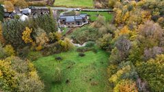 Dronefoto af området før genslynging.