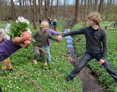 Den Røde Ko kommer fortsat til at køre dagtilbuddets børn i skoven i Skodsborg. Udflytterdelen af børnehaven skal ikke lukkes alligevel, har politikerne i København besluttet.