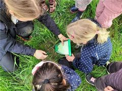 EGMONTGÅRDEN: Lene og en gruppe børn i gang med Naturbingo på legepladsen. De leder efter dyr og planter på bingopladen.