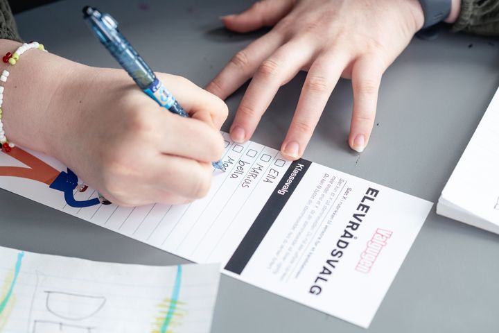 Foto: Danske Skoleelever