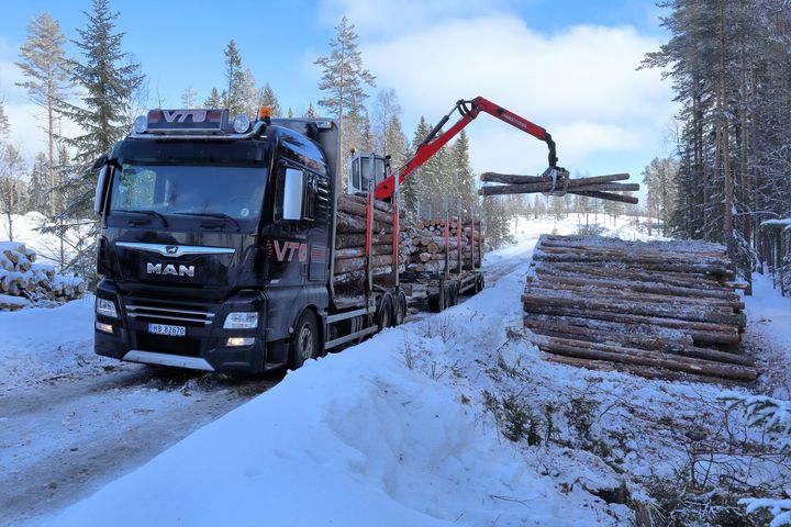 MAN TGX 28.580 6x4 med XLX førerhus er den ideelle tømmerbilen, ifølge lastebileier Åge Snerten. Her blir bilen lastet opp et sted i Trysils skoger en fin vinterdag.