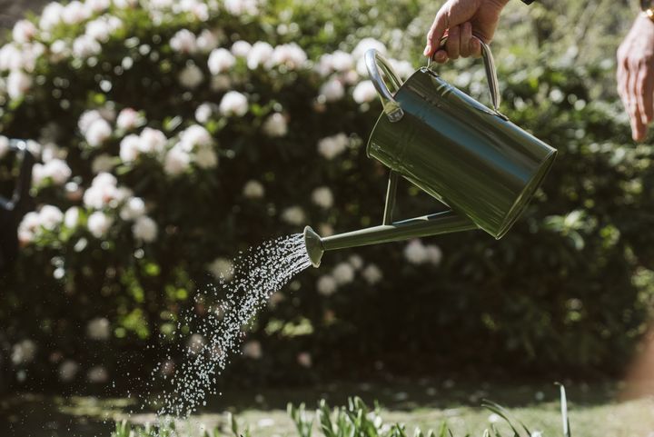 Du kan spare på vandet, hvis du vælger at bruge vandkande, når du vander dine blomsterbede og blomsterkrukker – vandslangen er nemlig en vandsluger, som bruger 12 liter vand pr. minut.