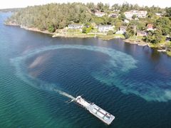 Søen Dreiviken i Sverige restaureres med 4.300 ton kemi, der låser fosforen fast til søbunden. Foto: Thomas Aabling Vandmiljø