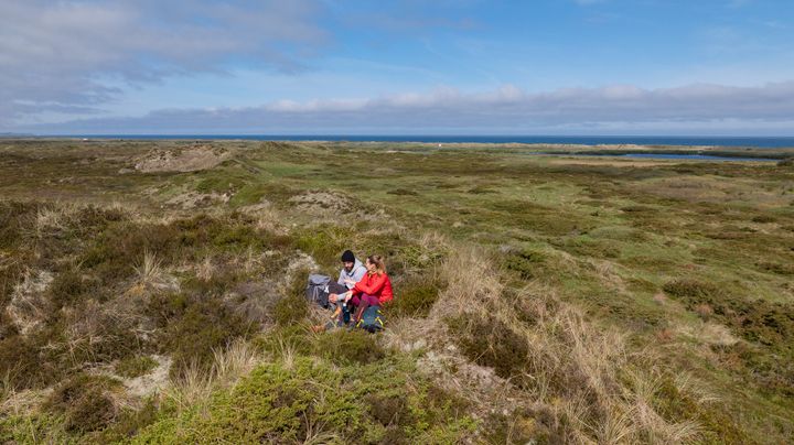 En stor, åben naturlandskab med to personer, der sidder sammen midt i grønt krat med havet i baggrunden.