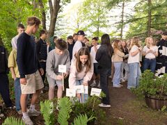 Spirende ord plantes i 'Reservat for truede ord' i Nivaagaards Park