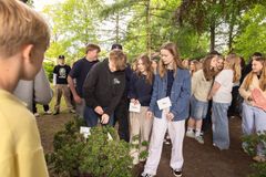 Spirende ord plantes i 'Reservat for truede ord' i NIvaagaards Park.