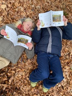 Vinterfere i 'Skovens tid' - ny aktivitetsbog sender børn og voksne på en sanselig rejse ind i skoven.