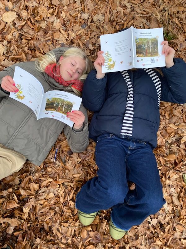 Vinterfere i 'Skovens tid' - ny aktivitetsbog sender børn og voksne på en sanselig rejse ind i skoven.