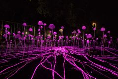 Mycelium Network af Stevie Thompson, Custom Fibre Optics (UK). I den specialbyggede installation skifter lysende svampe langsomt farver og pulserer, som om de kommunikerer med hinanden i Øens have på Refshaleøen.