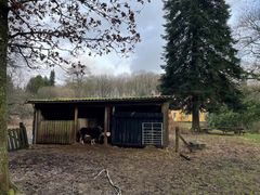 Natursskolen Viborg glæder sig til, at gedeskuret, der ligger midt i naturen i Undallslund Skov, bliver renoveret.