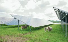Solceller på marker i Viborg Kommune. Her er det foto fra Kvosted Solcellepark i den vestlige del af kommunen. Solceller er også en del af de tre projekter, der tilsammen udgør Energipark Tjele.