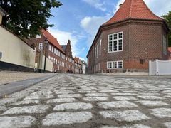 Der er mange brosten på løberuterne til Royal Run i Viborg. Alle 17.500 løbere kommer rundt i domkirkekvarteret, hvor belægningen af sikkerhedsmæssige årsager har fået ny stenmel.