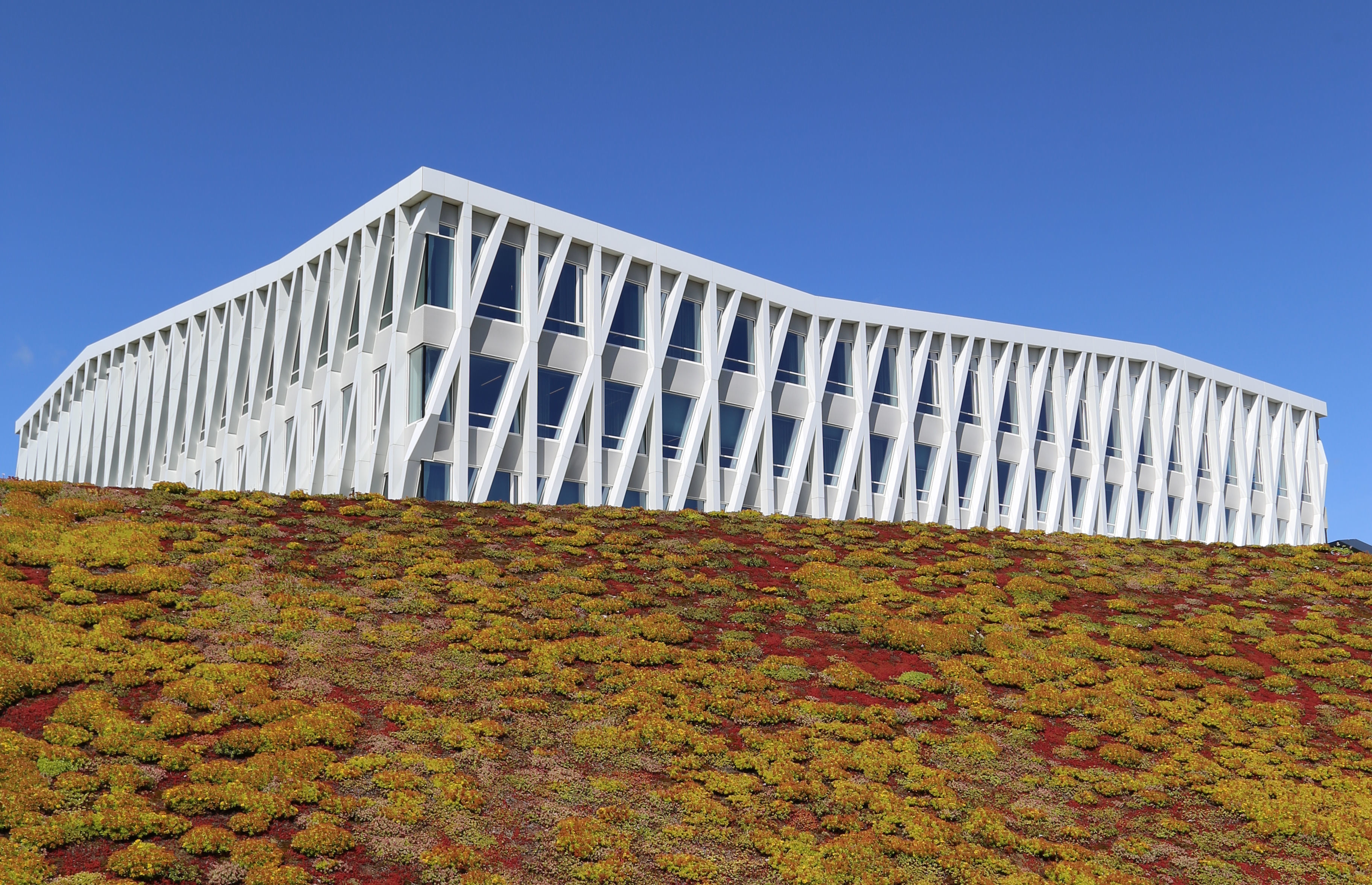 Viborg er også i år en attraktiv studieby. Det viser ansøgertallene til de mange uddannelser, der bliver udbudt.