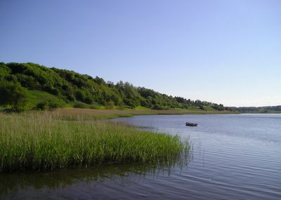 De potentielle projekter i Viborg Kommune giver tilsammen en beregnet reduktion på 586,9 tons kvælstof pr. år.